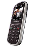 Best available price of Motorola WX288 in Iceland