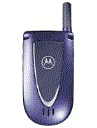 Best available price of Motorola V66i in Iceland